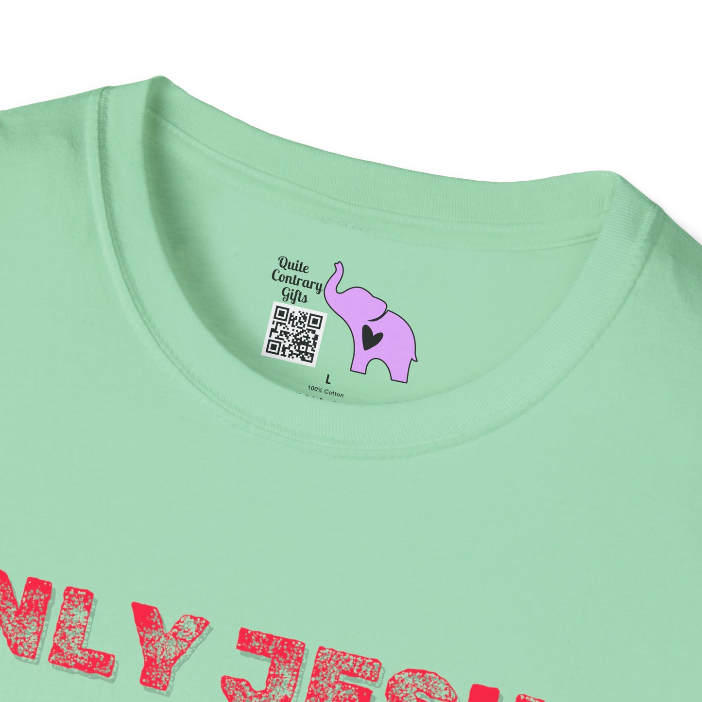 Only Jesus Adult T-shirt