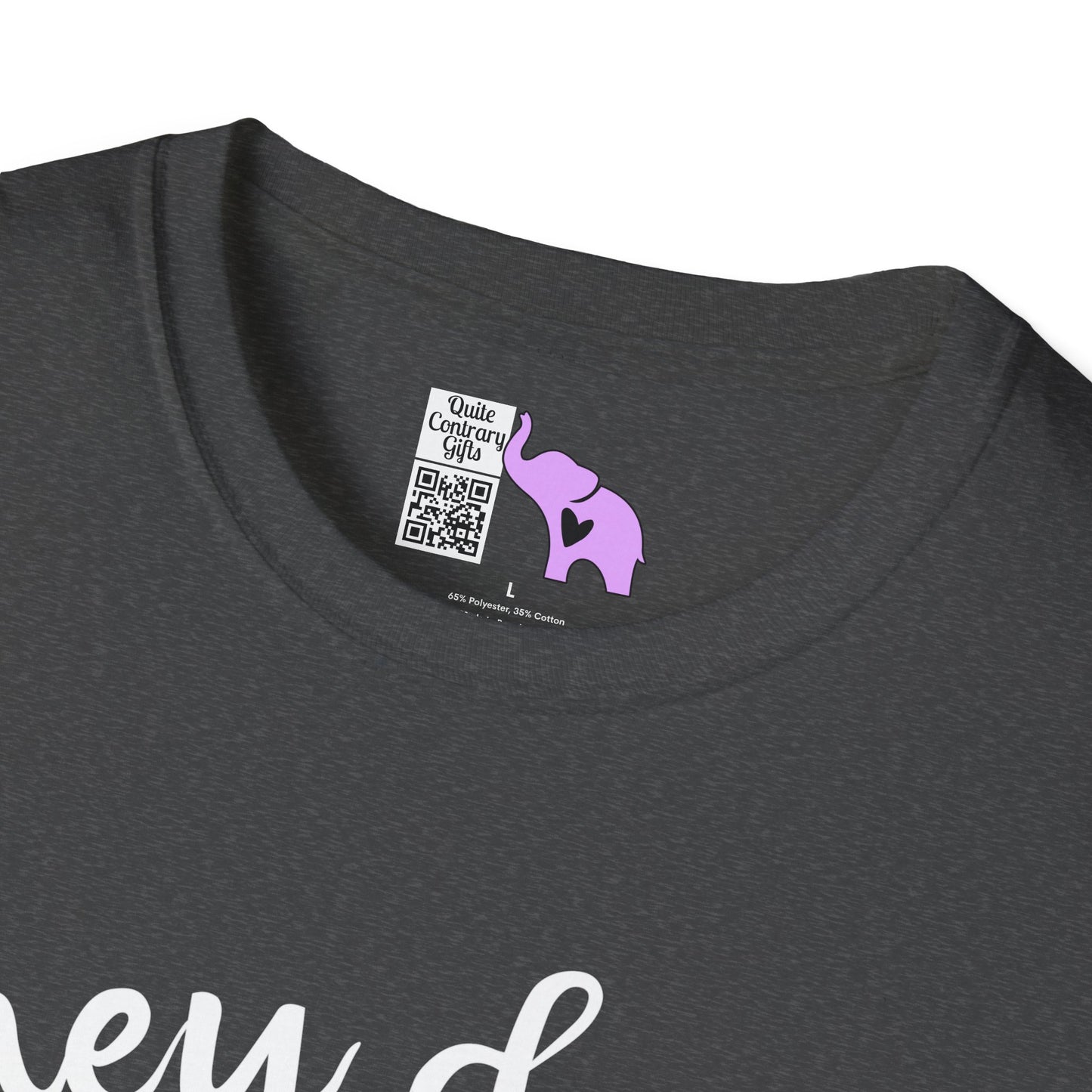 They Don't Pay Me Enough To Care Adult T-shirt