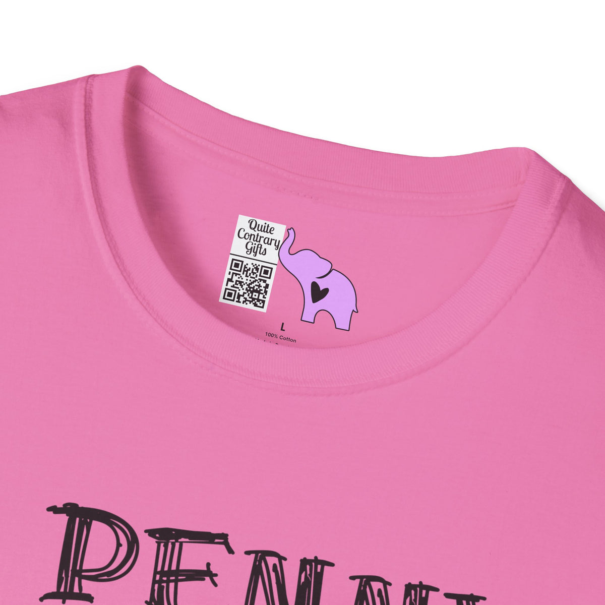 A Penny For Your Thoughts Seems Kinda Pricey Adult T-shirt