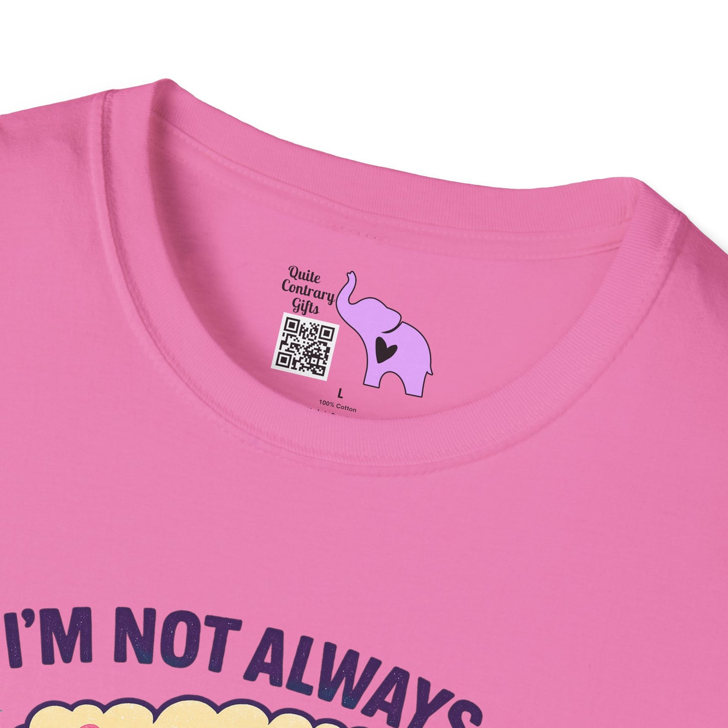 I'm Not Always A Train Wreck Just Kidding Toot Toot Adult T-shirt