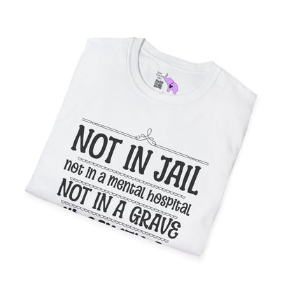 Not In A Jail/Mental Hospital/Dead I'd Say It's A Good Day Adult T-shirt