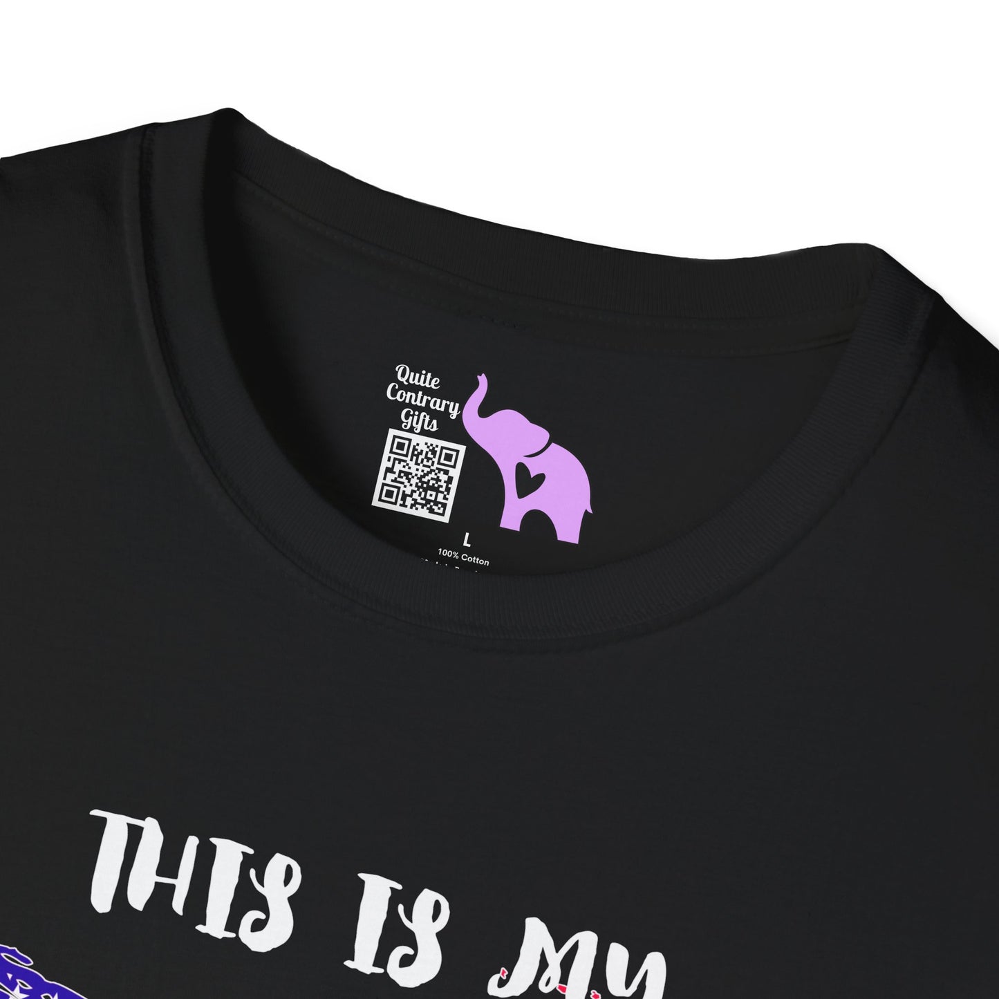 This is My Pride Flag American Flag Adult T-shirt