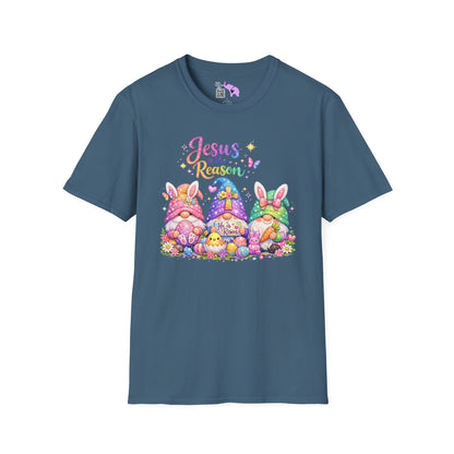 Jesus Is The Reason Adult T-shirt