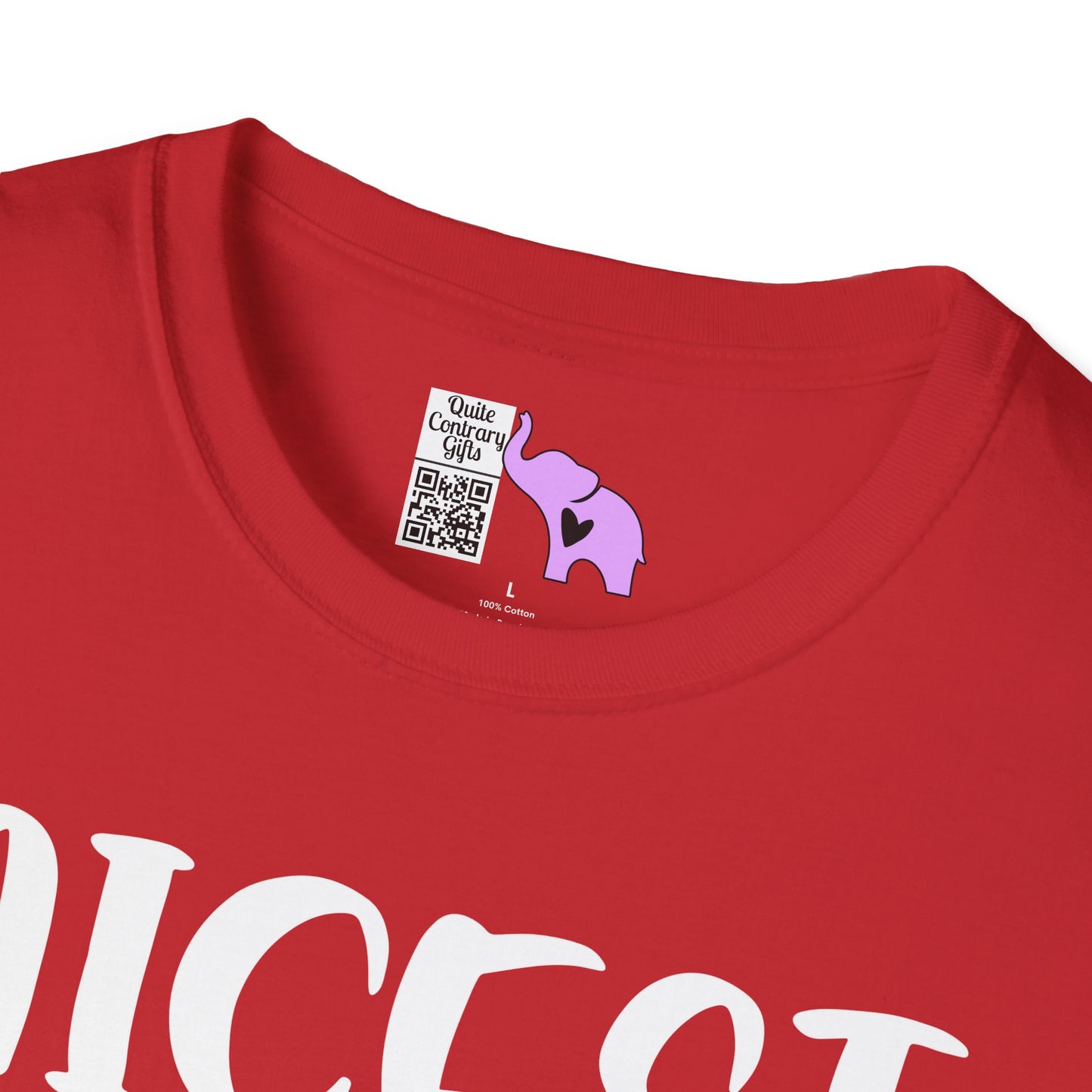 Nicest Mean Person Ever Adult T-shirt