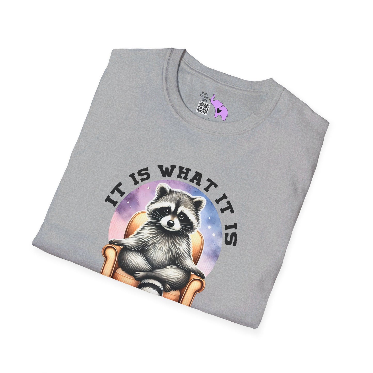 It Is What It Is And It's Not Great Raccoon T-shirt