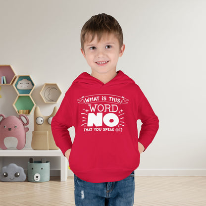 What Is This Word No That You Speak Of? Toddler Hoodie