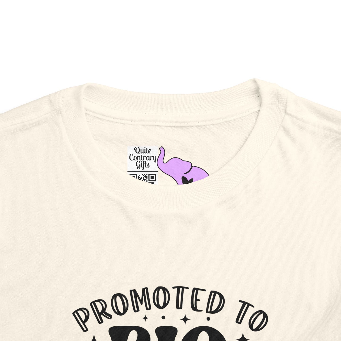 Promoted to Big Sister Toddler Tee