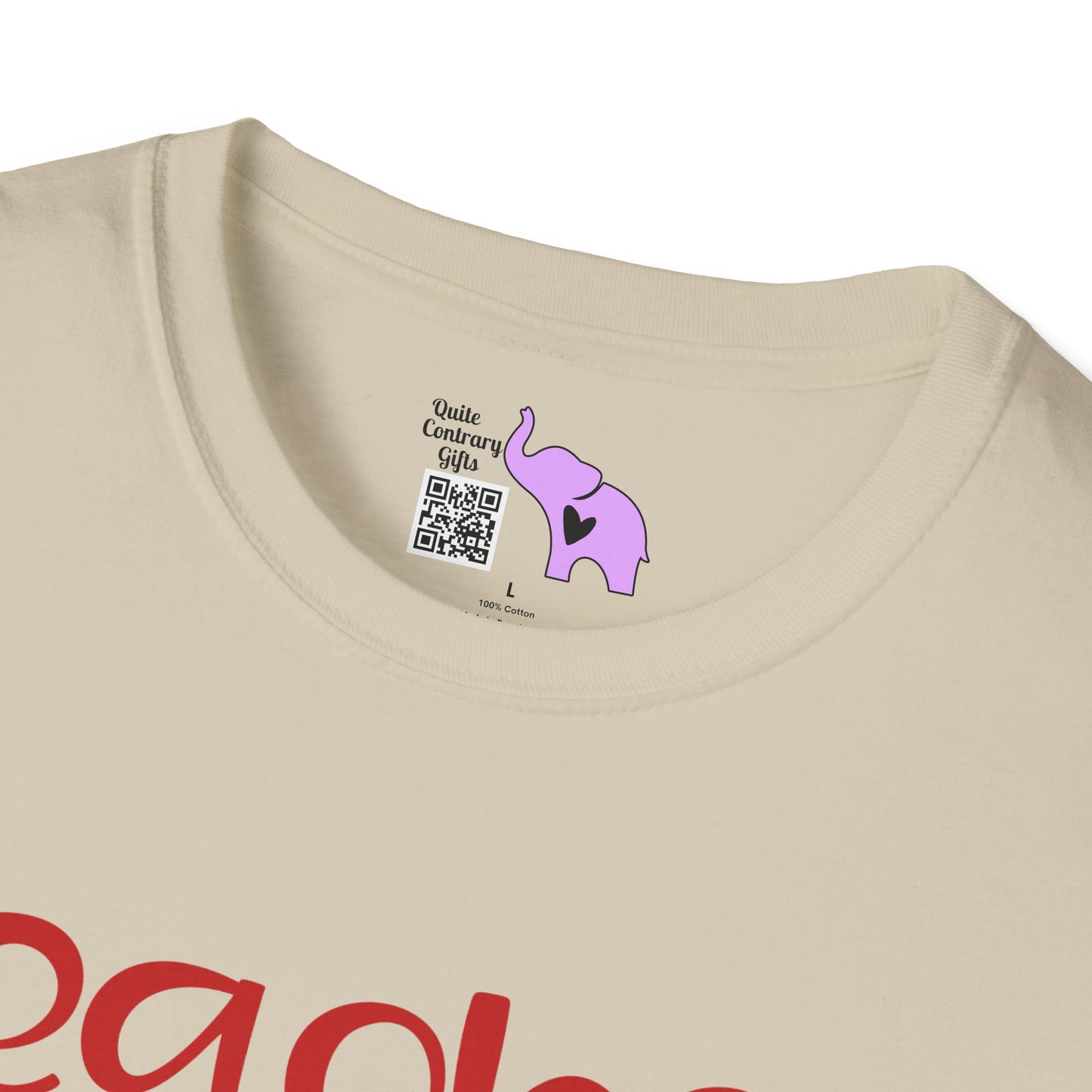 Teacher Vibes Adult T-shirt