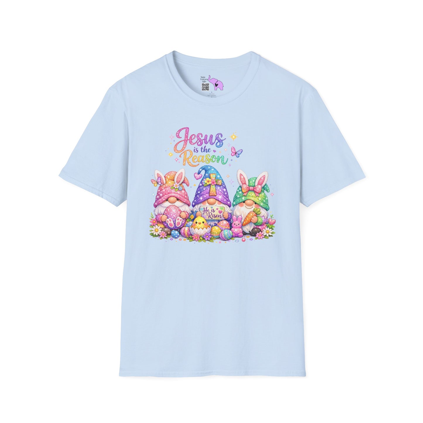 Jesus Is The Reason Adult T-shirt
