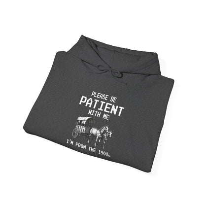 Please Be Patient With Me (Carriage) Heavy Blend™ Hooded Sweatshirt