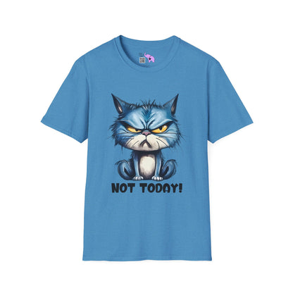 Not Today (Angry Cat) Adult T-shirt