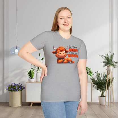 I'm Not Always Right But I'm Never Wrong Adult T-shirt