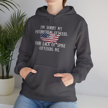 I'm Sorry My Patriotism Offends You... Heavy Blend™ Hooded Sweatshirt