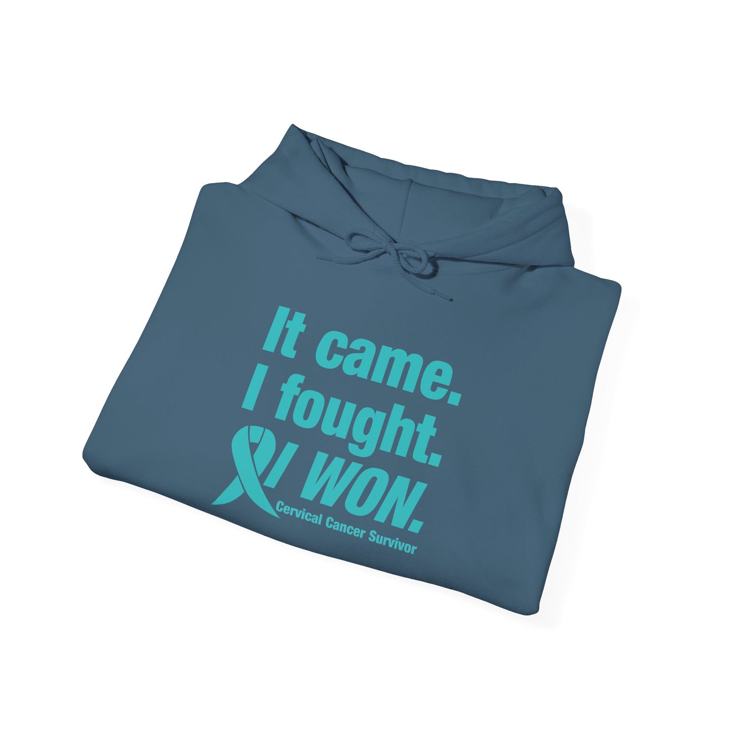 It Came I Fought I Won Cervical Cancer Awareness Adult Heavy Blend™ Hoodie