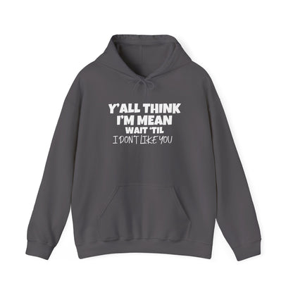 Y'all Think I'm Mean Wait 'Til I Don't Like You Adult Heavy Blend™ Hoodie