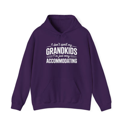 I Don't Spoil My Grandkids I'm Just Very Accommodating Heavy Blend™ Hooded Sweatshirt