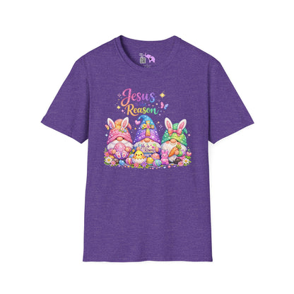 Jesus Is The Reason Adult T-shirt
