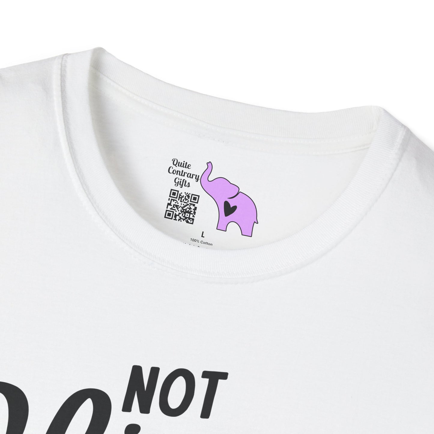 Not Slim Kinda Shady Adult T-shirt