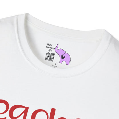 Teacher Vibes Adult T-shirt