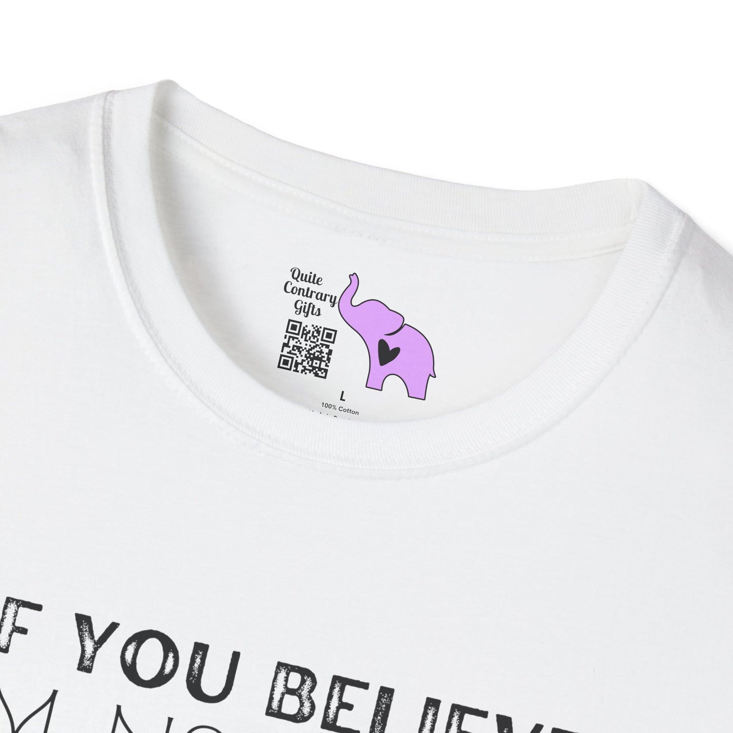 If You Believe I'm Normal I've Got A Ski Resort In Florida To Sell You Adult T-shirt