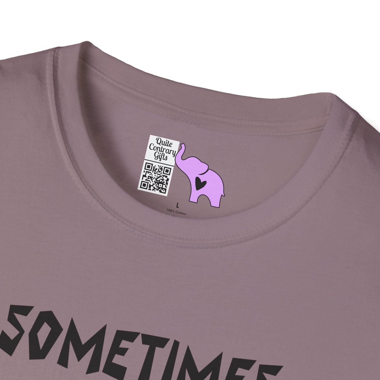 Sometimes I Just Be Fartin' Adult T-shirt