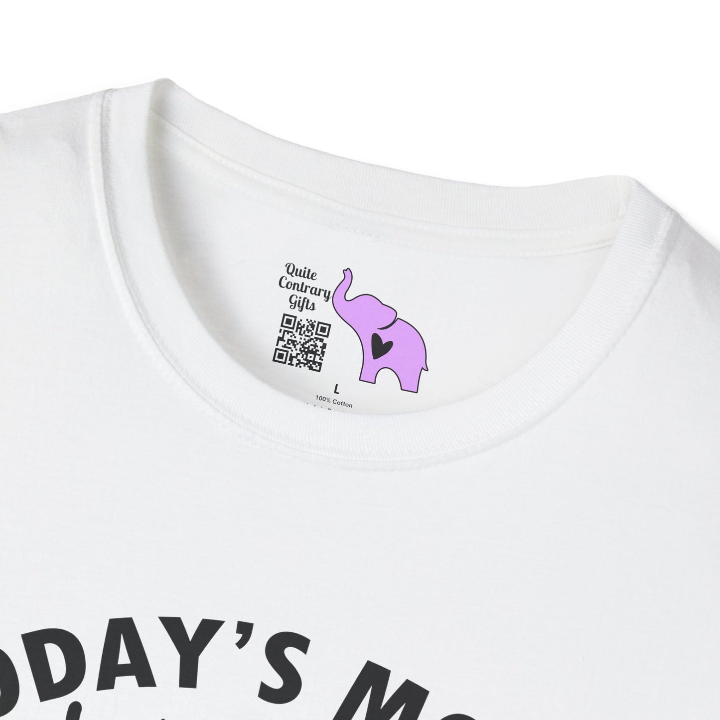 Today's Mood Witchy With A Chance of Sarcasm Adult T-shirt