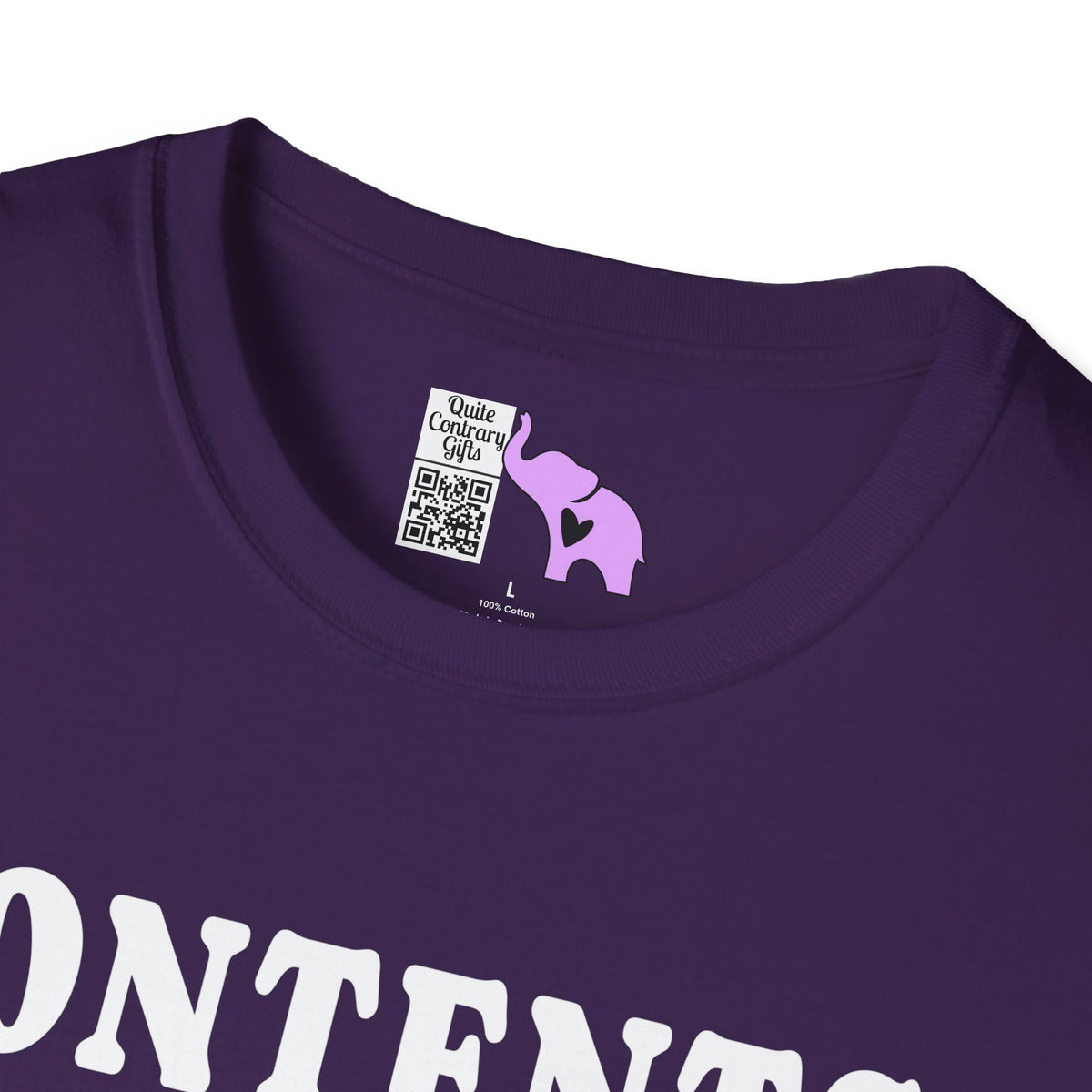 Contents: Invisible Illness Adult T-shirt