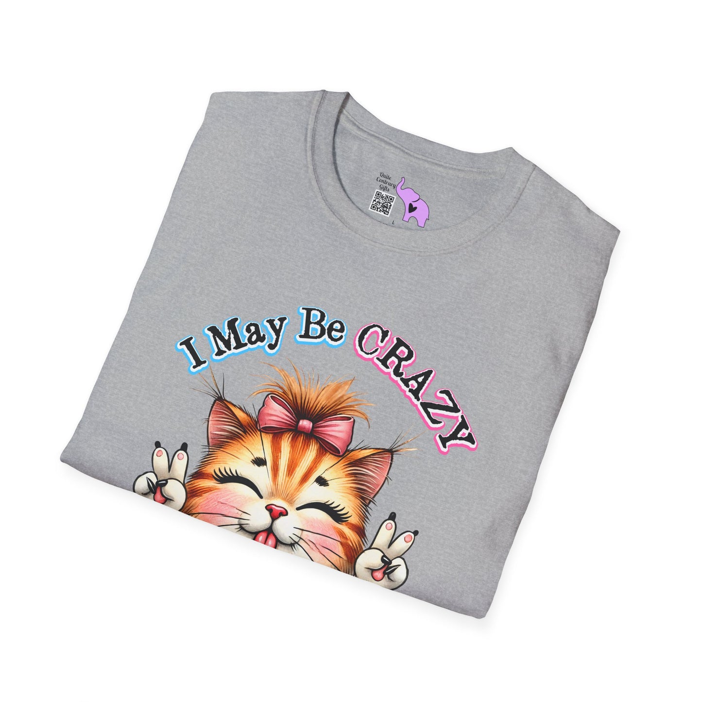 I May Be Crazy But Far Better Than Stupid Adult T-shirt