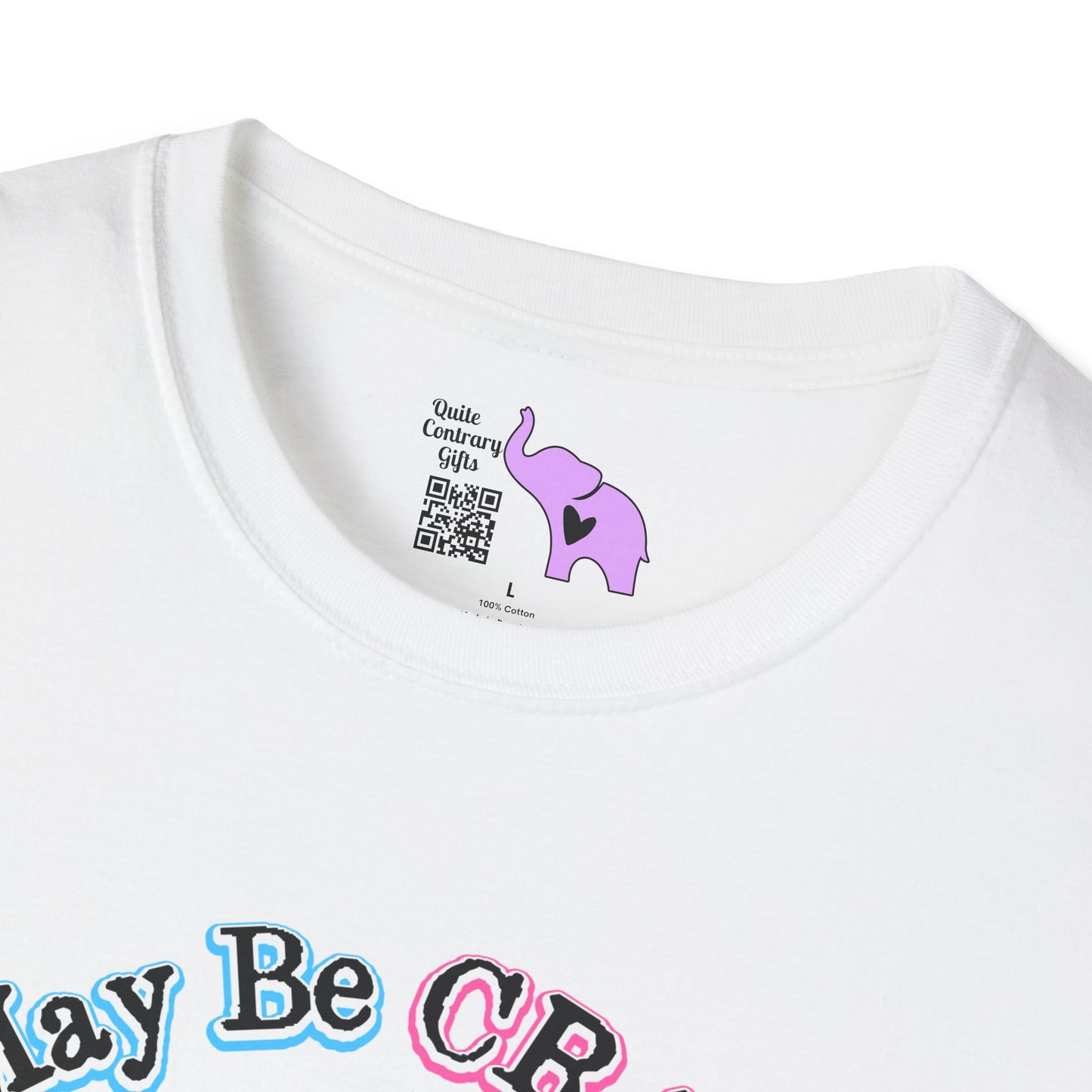 I May Be Crazy But Far Better Than Stupid Adult T-shirt