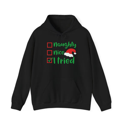 Naughty; Nice; I Tried Adult Heavy Blend™ Hoodie