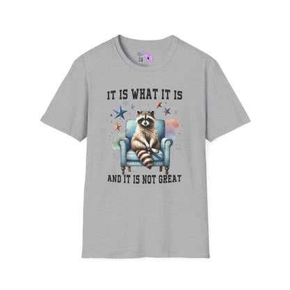 It Is What It Is And It's Not Great Racoon (2) Adult T-shirt