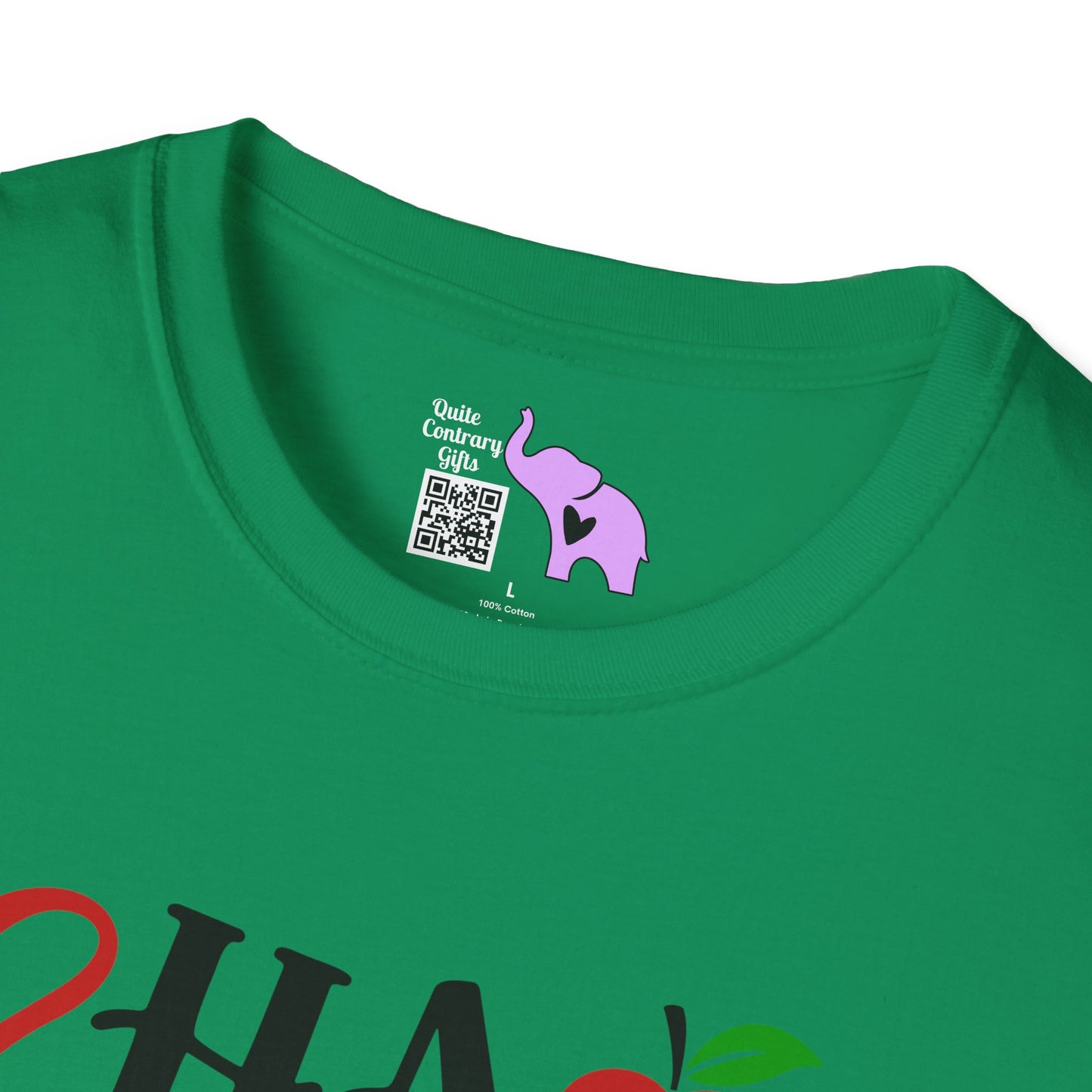 Chaos Coordinator Adult T-shirt