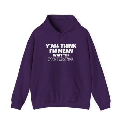 Y'all Think I'm Mean Wait 'Til I Don't Like You Adult Heavy Blend™ Hoodie