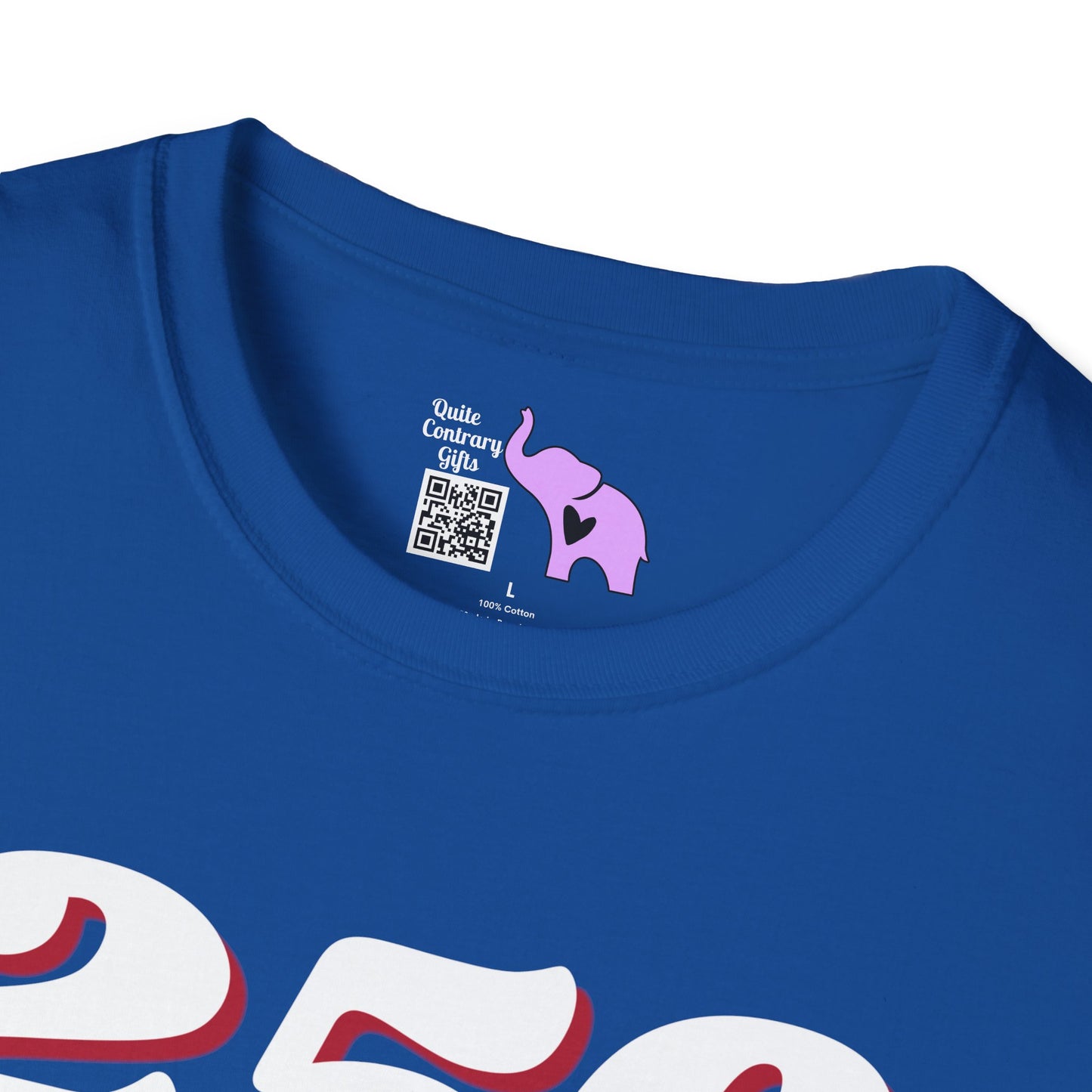 Statue of Liberty 250 1776-2026 Adult T-shirt