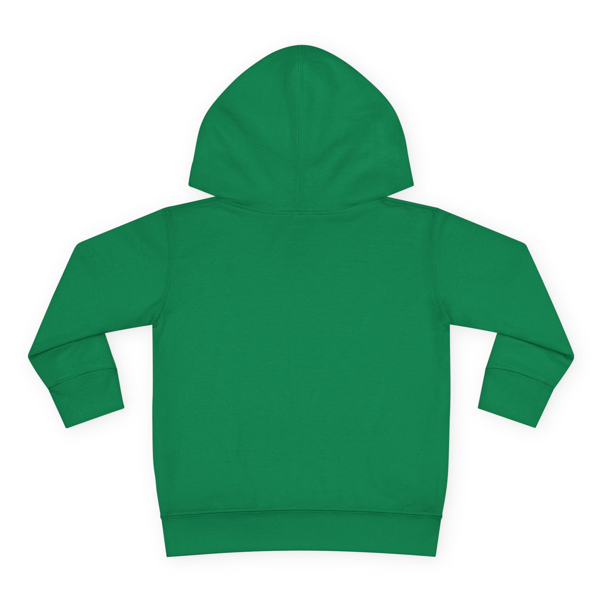 What Is This Word No That You Speak Of? Toddler Hoodie
