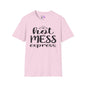 Hot Mess Express Adult T-shirt