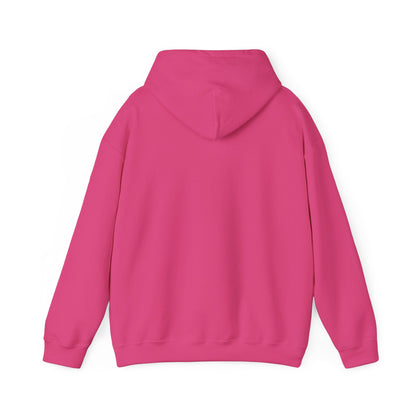 Fun Fact I Don't Care Adult Heavy Blend™ Hoodie