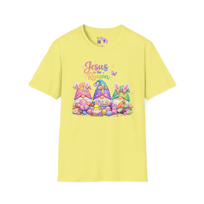 Jesus Is The Reason Adult T-shirt