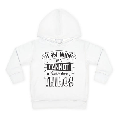 I Am Why We Cannot Have Nice Things Toddler Hoodie