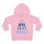 Hanukkah Love Light Latkes Toddler Pullover Fleece Hoodie
