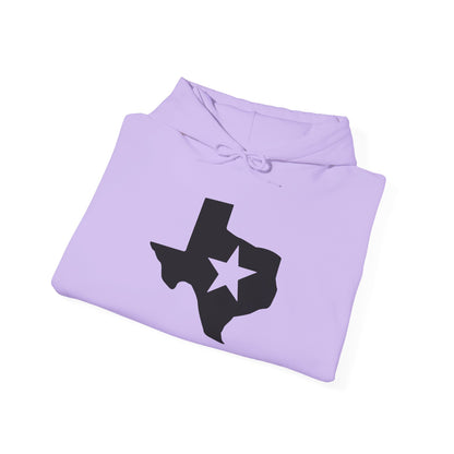 Texas w/Star Heavy Blend™ Hooded Sweatshirt