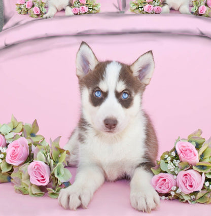 Blue-eyed Husky Print Bedding Duvet Set