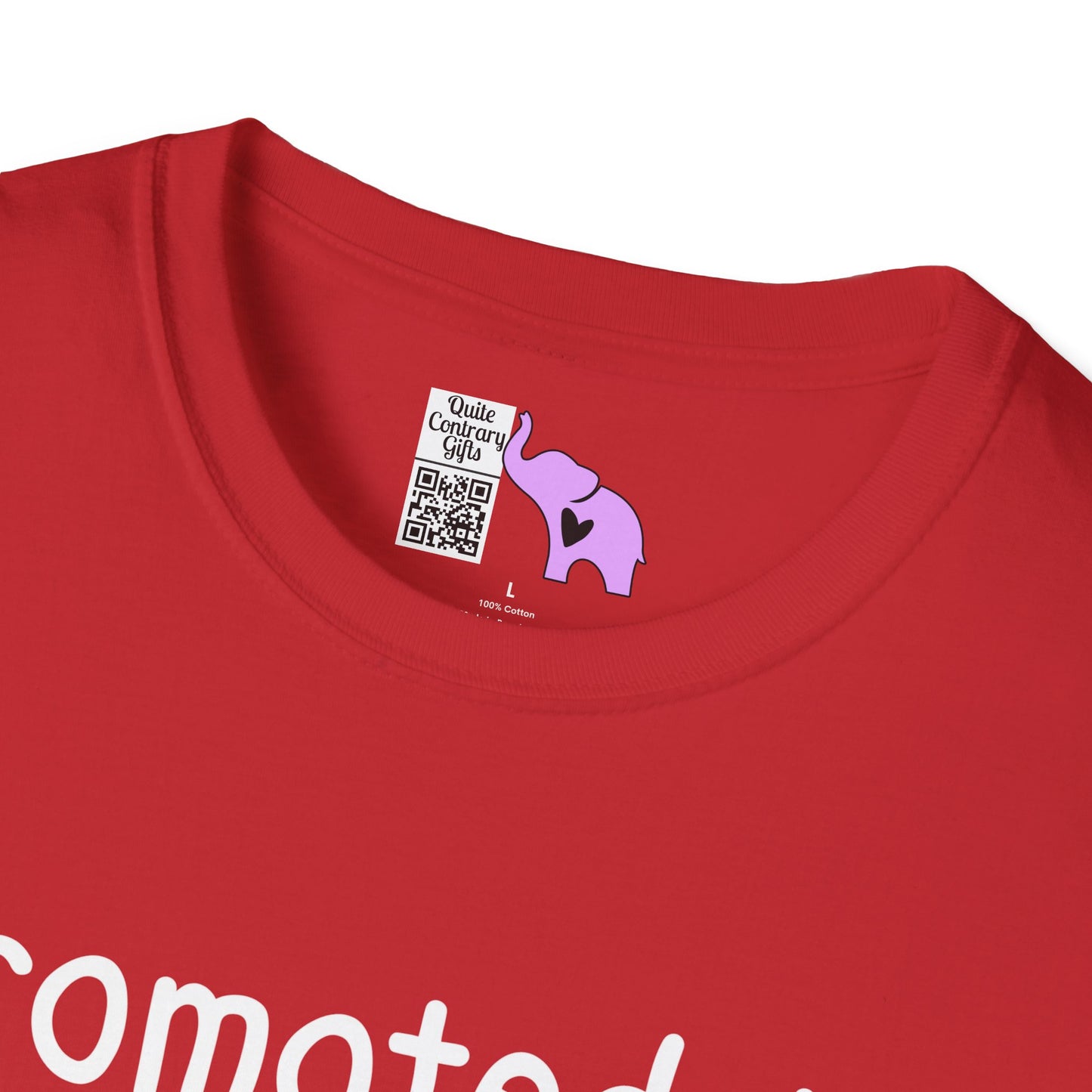 Promoted To Grandma 2026 Adult T-shirt