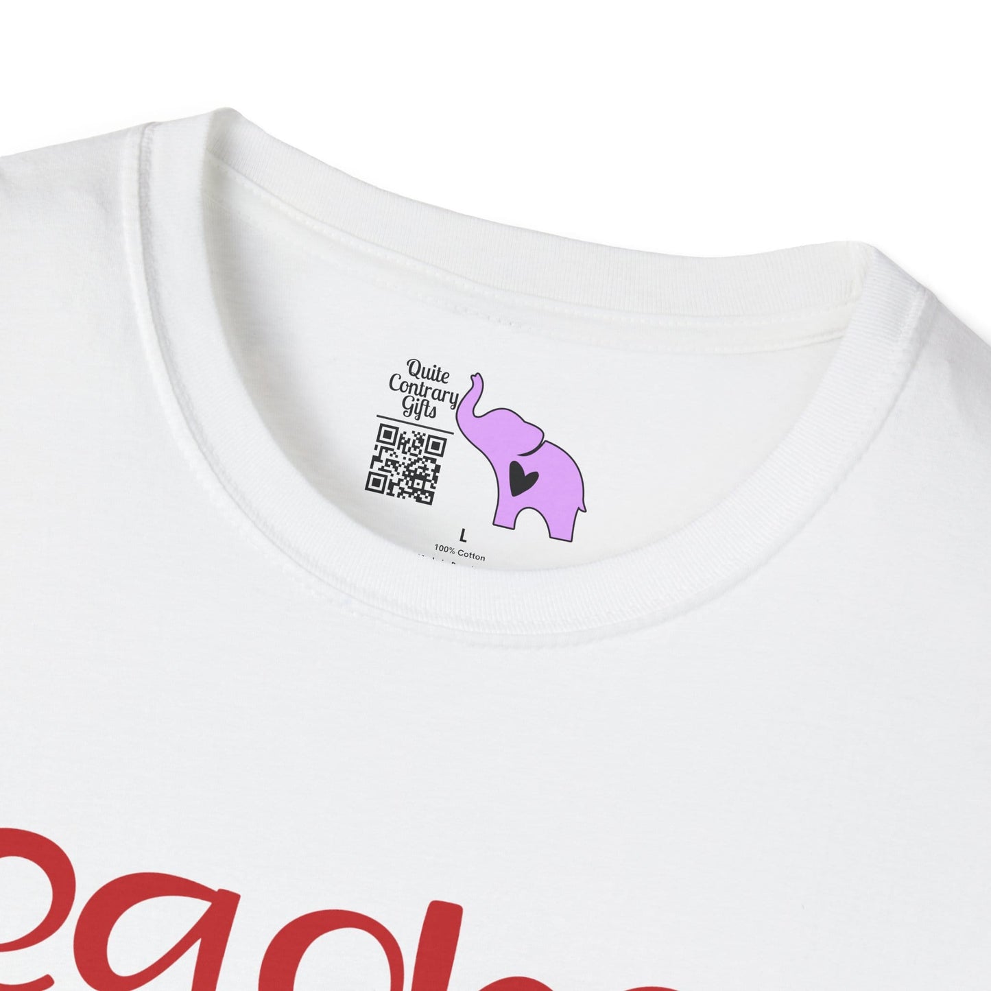 Teacher Vibes Adult T-shirt