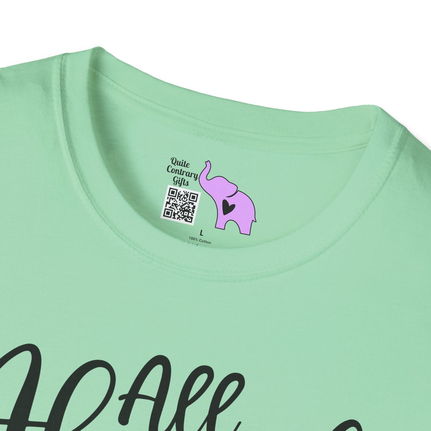 All Aboard The Hot Mess Express Adult T-shirt