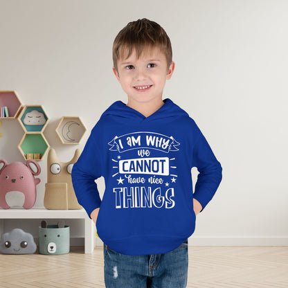 I Am Why We Cannot Have Nice Things Toddler Hoodie