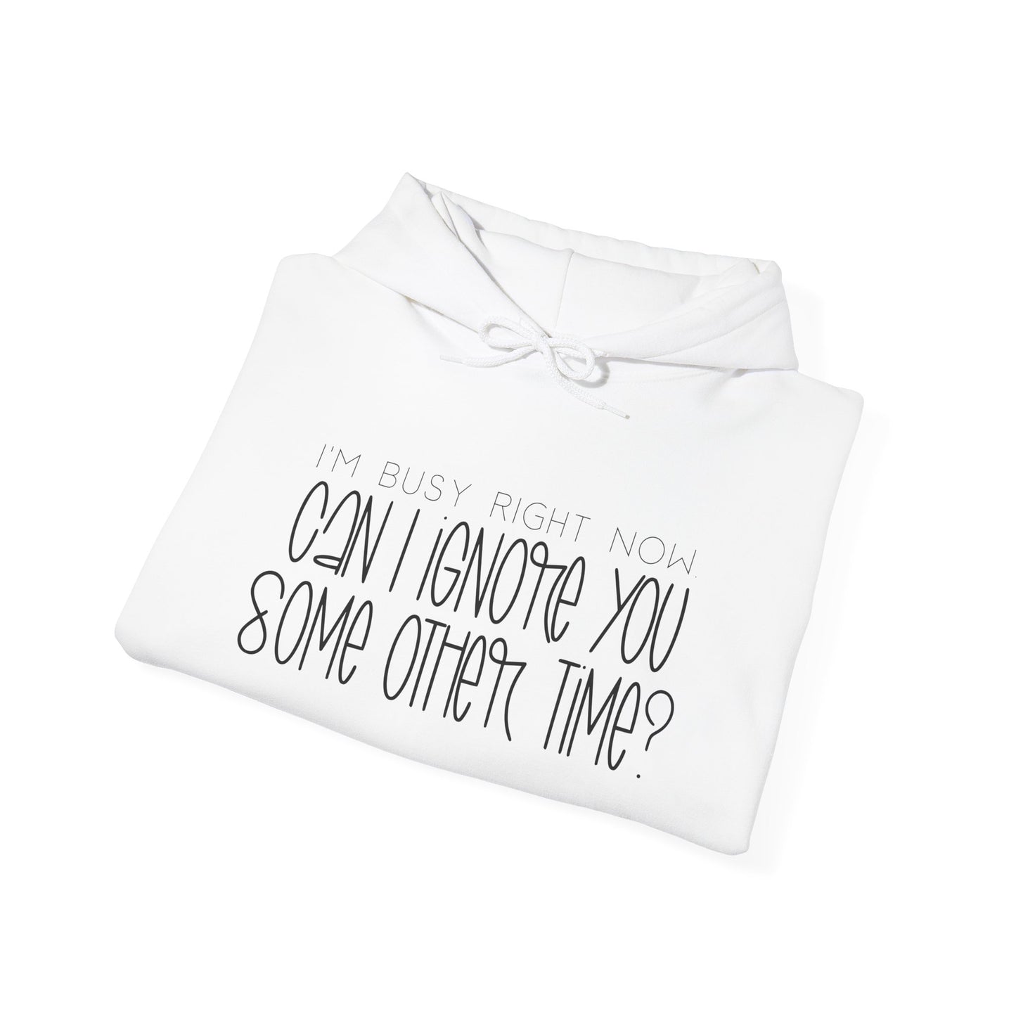 I'm Busy Right Now Can I Ignore You Later? Heavy Blend™ Hooded Sweatshirt