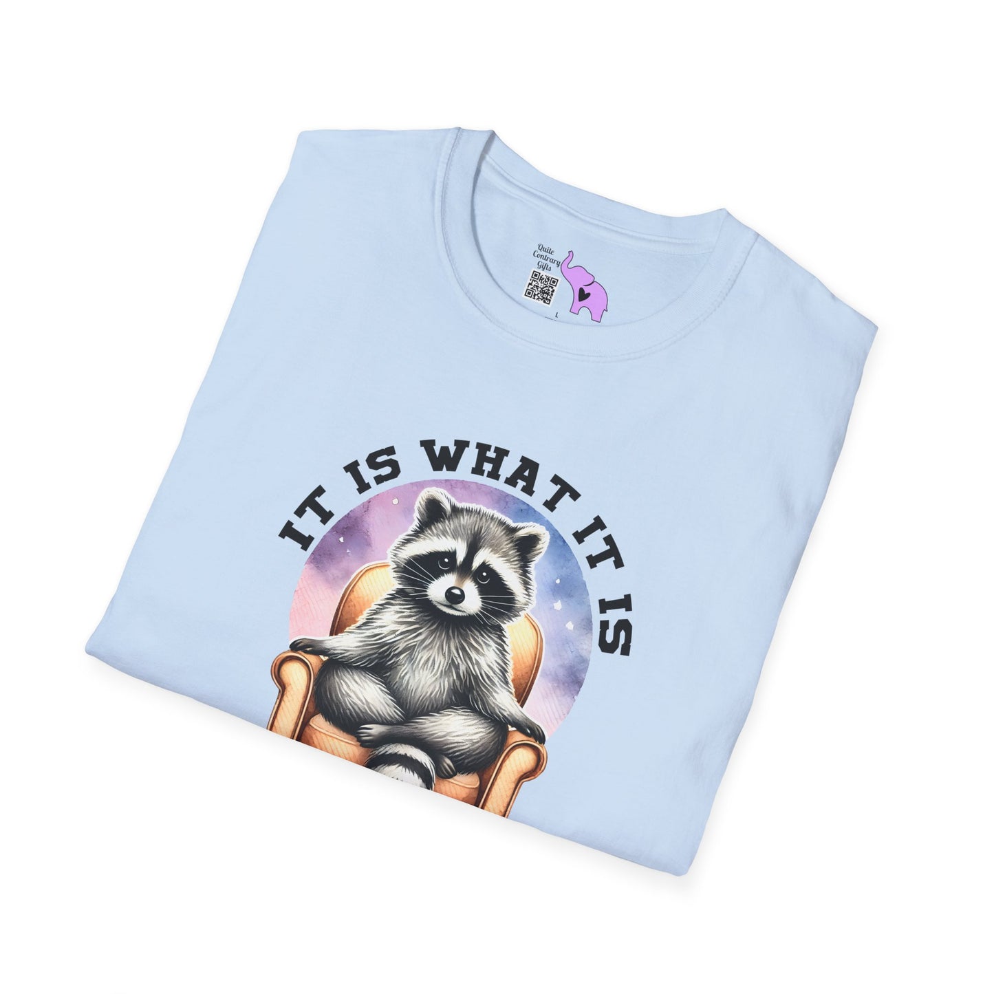 It Is What It Is And It's Not Great Raccoon Adult T-shirt
