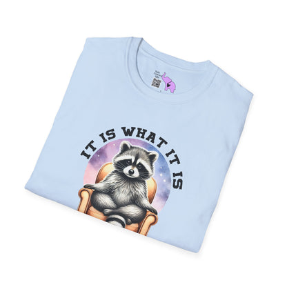 It Is What It Is And It's Not Great Raccoon Adult T-shirt
