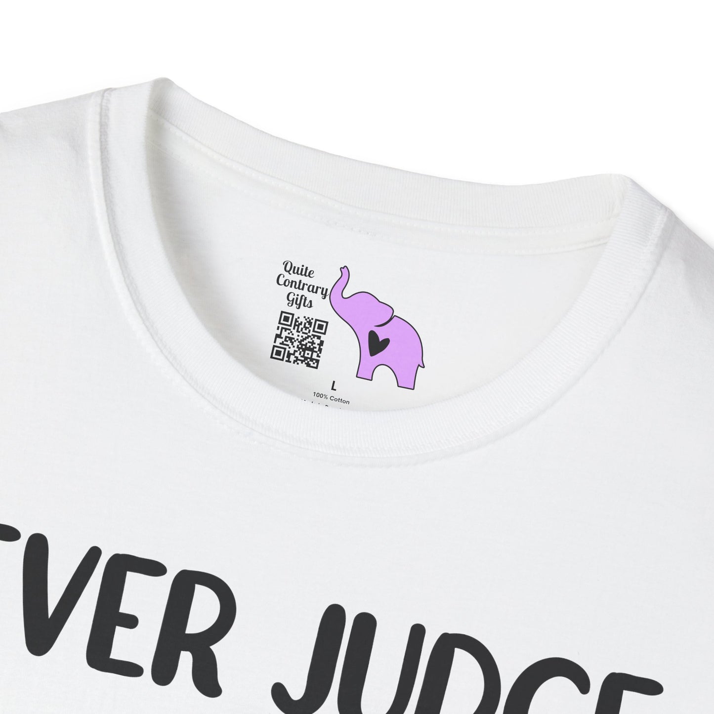 Never Judge Someone By The Visibility Of Their Illness Adult T-shirt